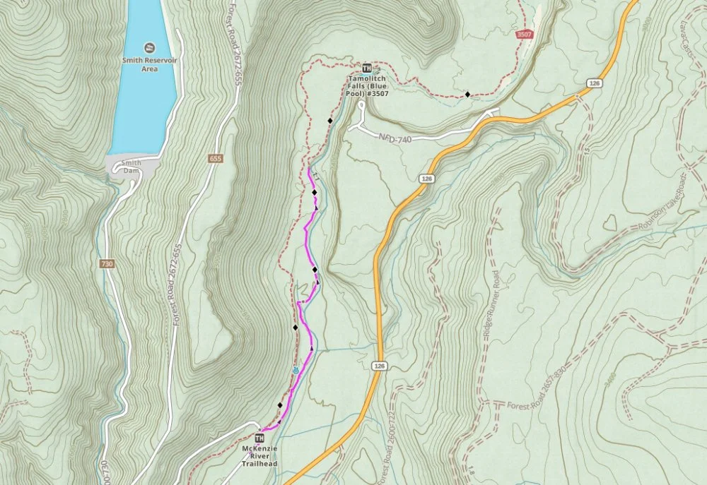 a topo map of the trailhead and overlook to Blue Pool