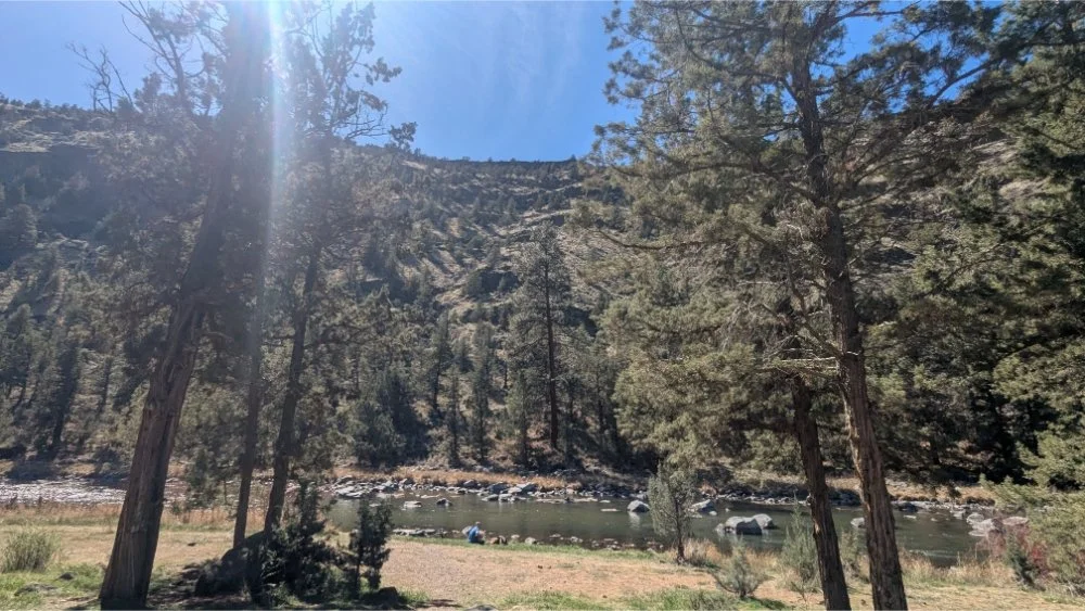 nature scene with blue sky, pine trees, grass, canyon and river