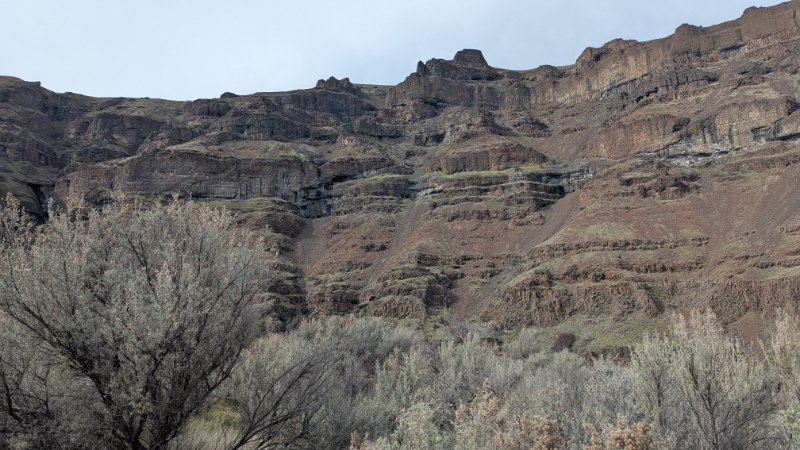 large green sage bushes with towering canyon walls of basalt