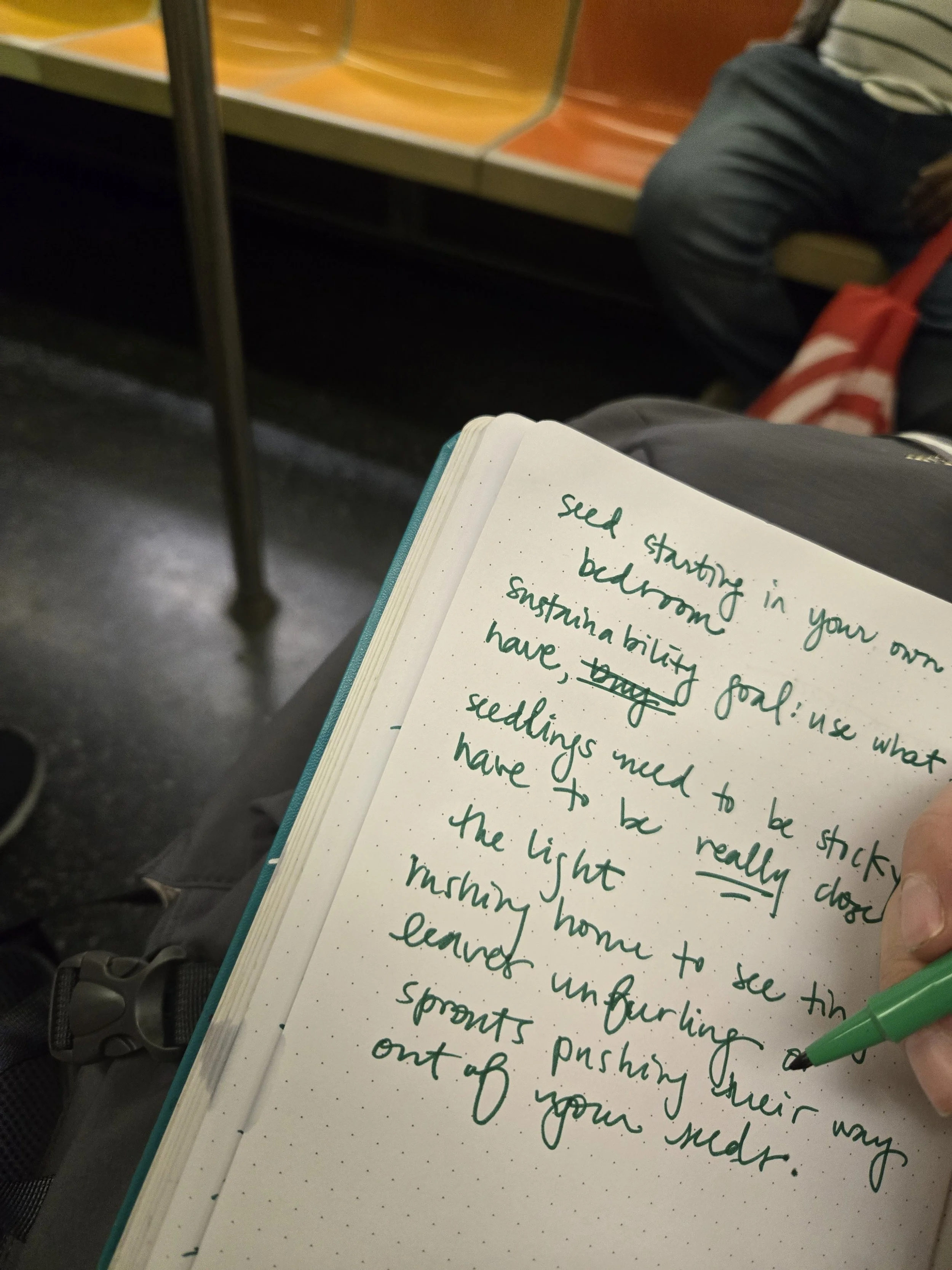 Not So Traditional Thanksgiving Reflection