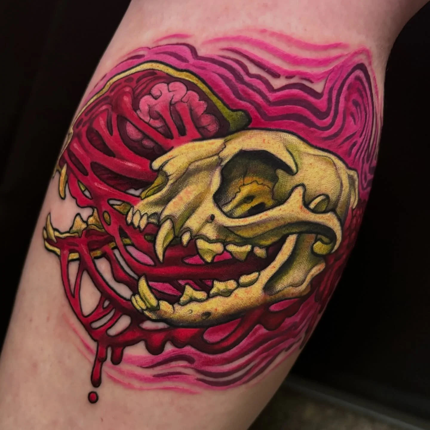 Trippy cat skull from my flash!
Adopted by Sarah! 🐱 💀 
Thank you so much!
#milwaukeetattoo #catskull #trippyartist #neotraditional #wisconsintattooartist