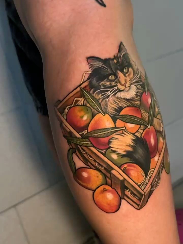 Precious Baby Mango in a crate of mangos 🥭 ✨ 
Thank you so much @seenaink 
Done at @blacksheeptattoomn guest spot
.
.
.
#cutetattoo #milwaukeetattooartist #cattattoos #fruittattoo #cat