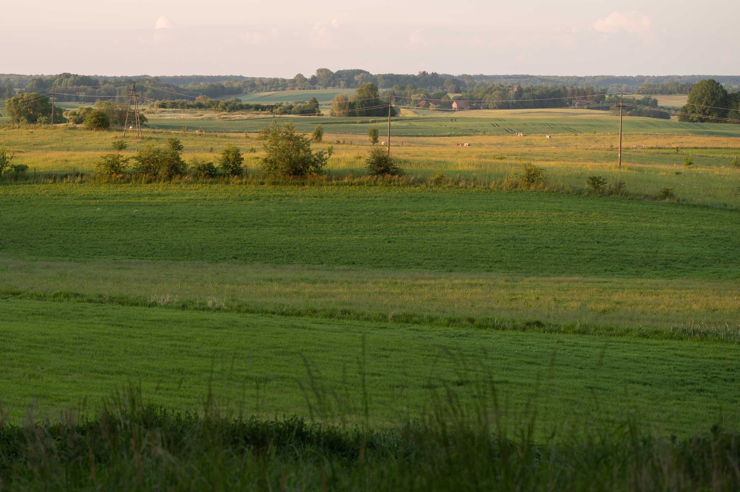 Nico_Kobel_Wesolowo_029_web.jpg