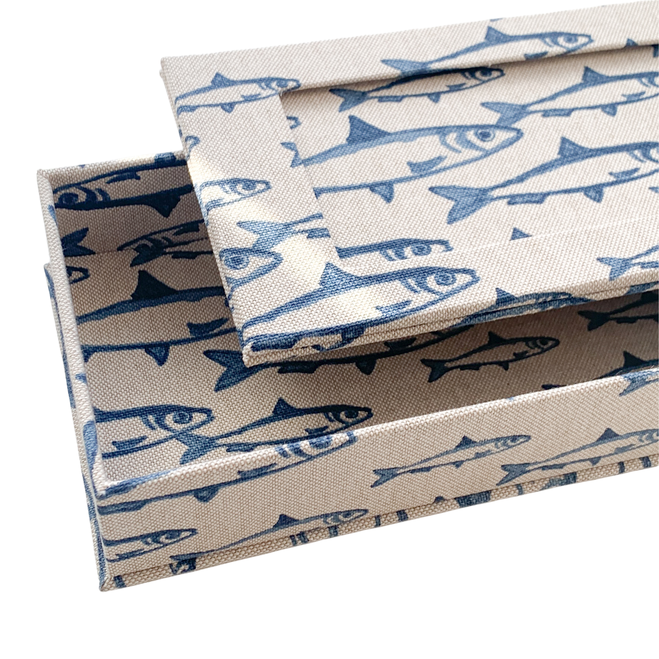 Box with fish_6.png