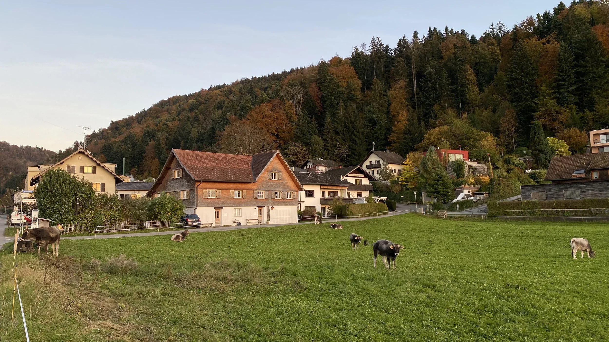 Bauernhaus Ferienwohnung mit Kuhweide