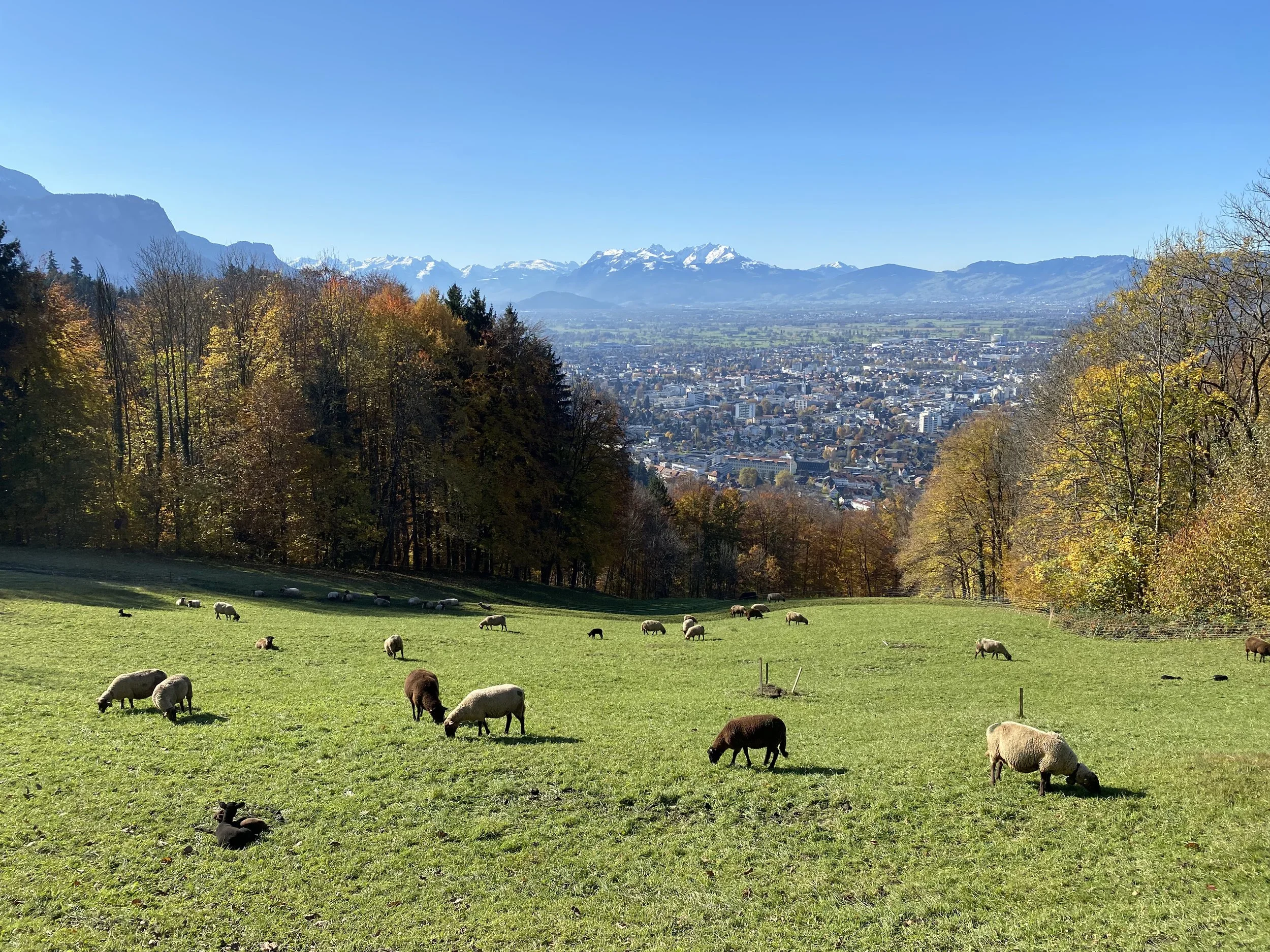 Wanderweg oberhalb von Dornbirn mit Blick auf die Stadt und Schweizer Berge