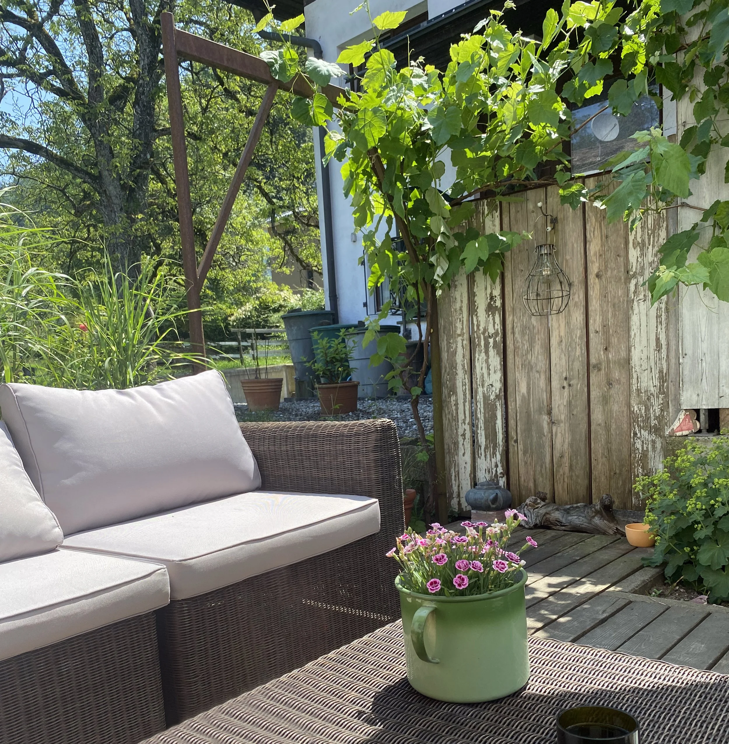 Sonnige Terrasse der Ferienwohnung mit Lounge-Gartenmöbeln im Naturgarten mit Weinreben