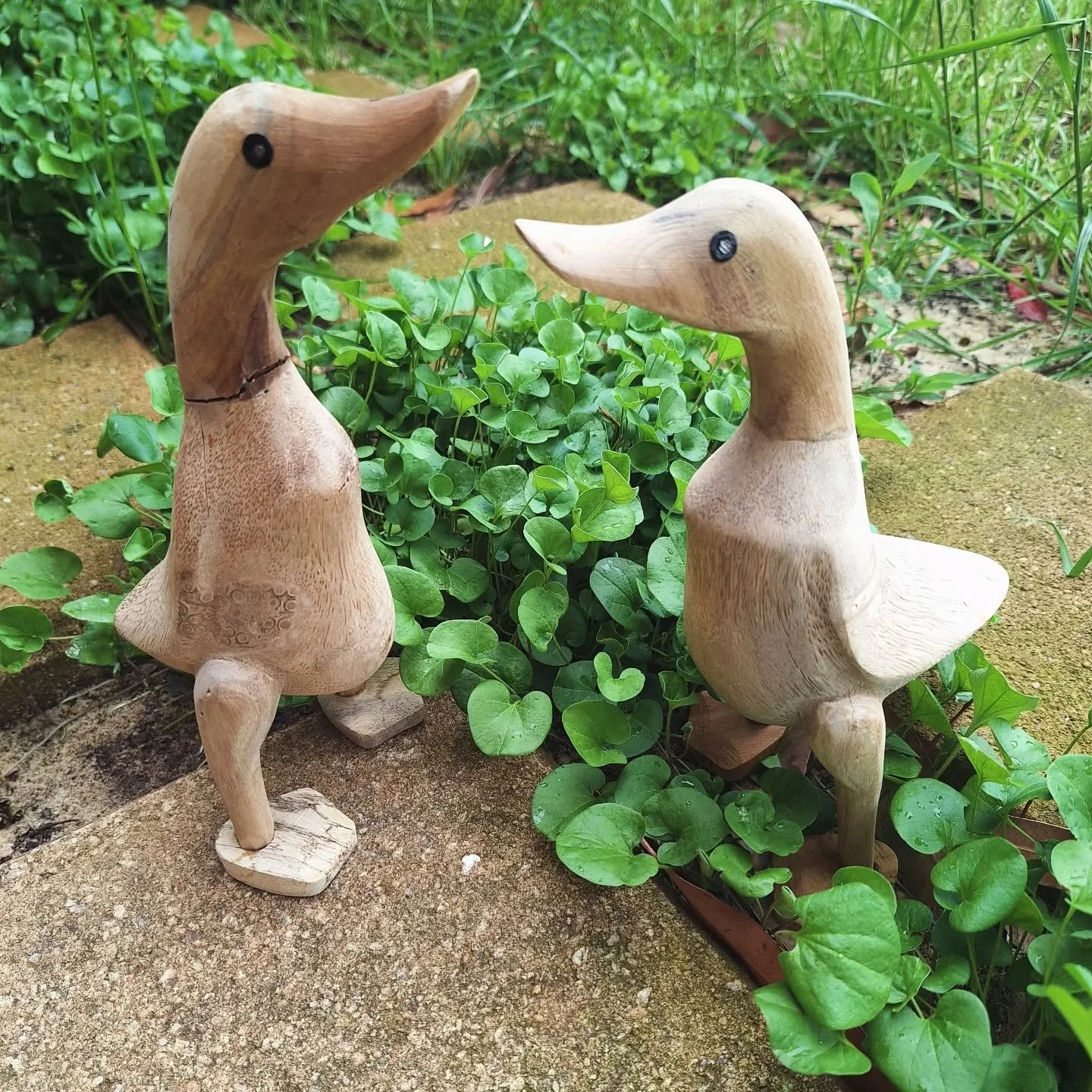 🎶 Two little ducks went out one day 🦆🦆

.

.

#ducks #ducksofinstagram #woodentoys #author #smallbusiness #supportlocal