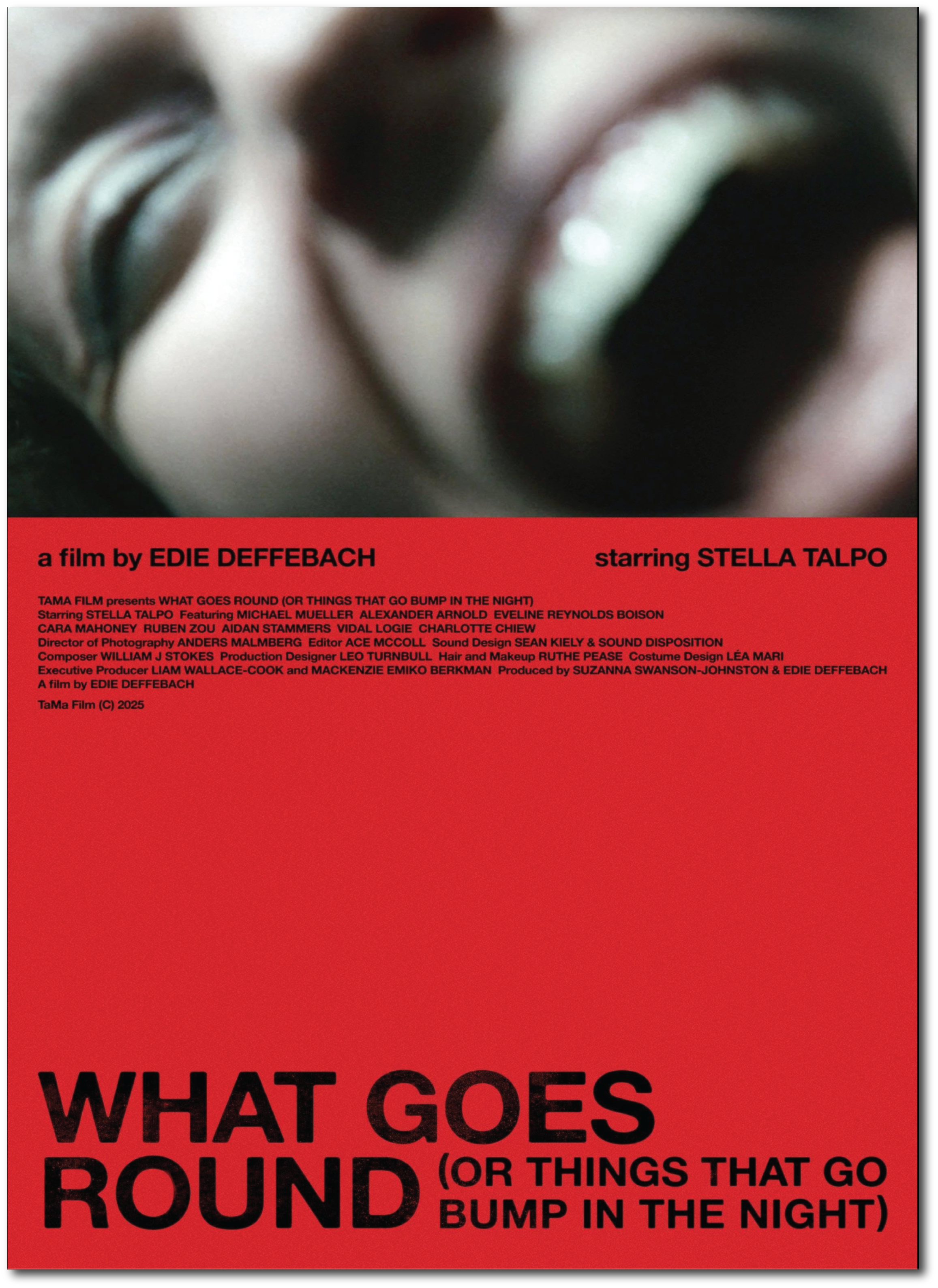 Close-up of a film poster with a blurred background and red lower section containing black text, including names of filmmakers and cast members, promoting a film titled 'What Goes Round (or Things That Go Bump in the Night)'.