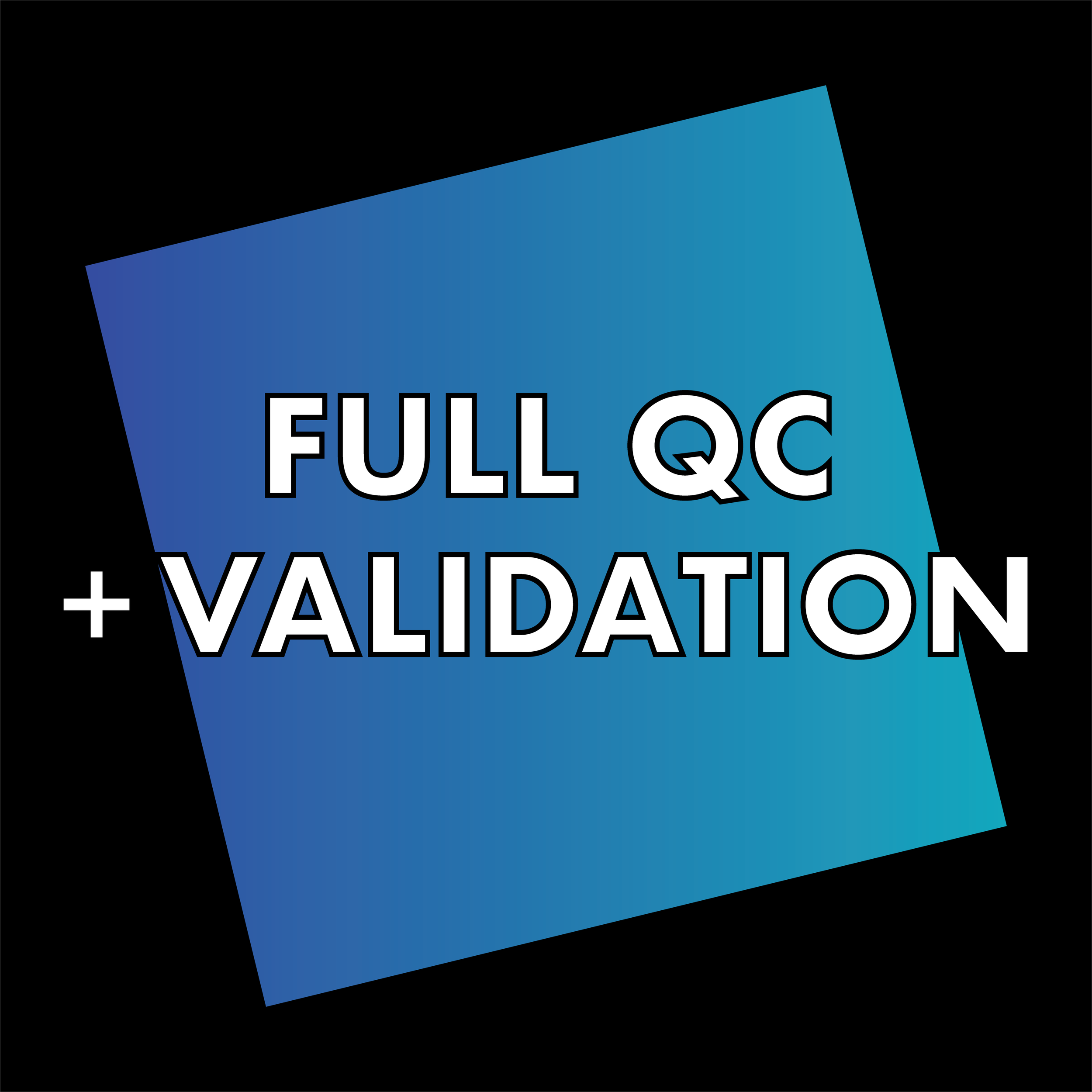 Full Quality Assessment Report