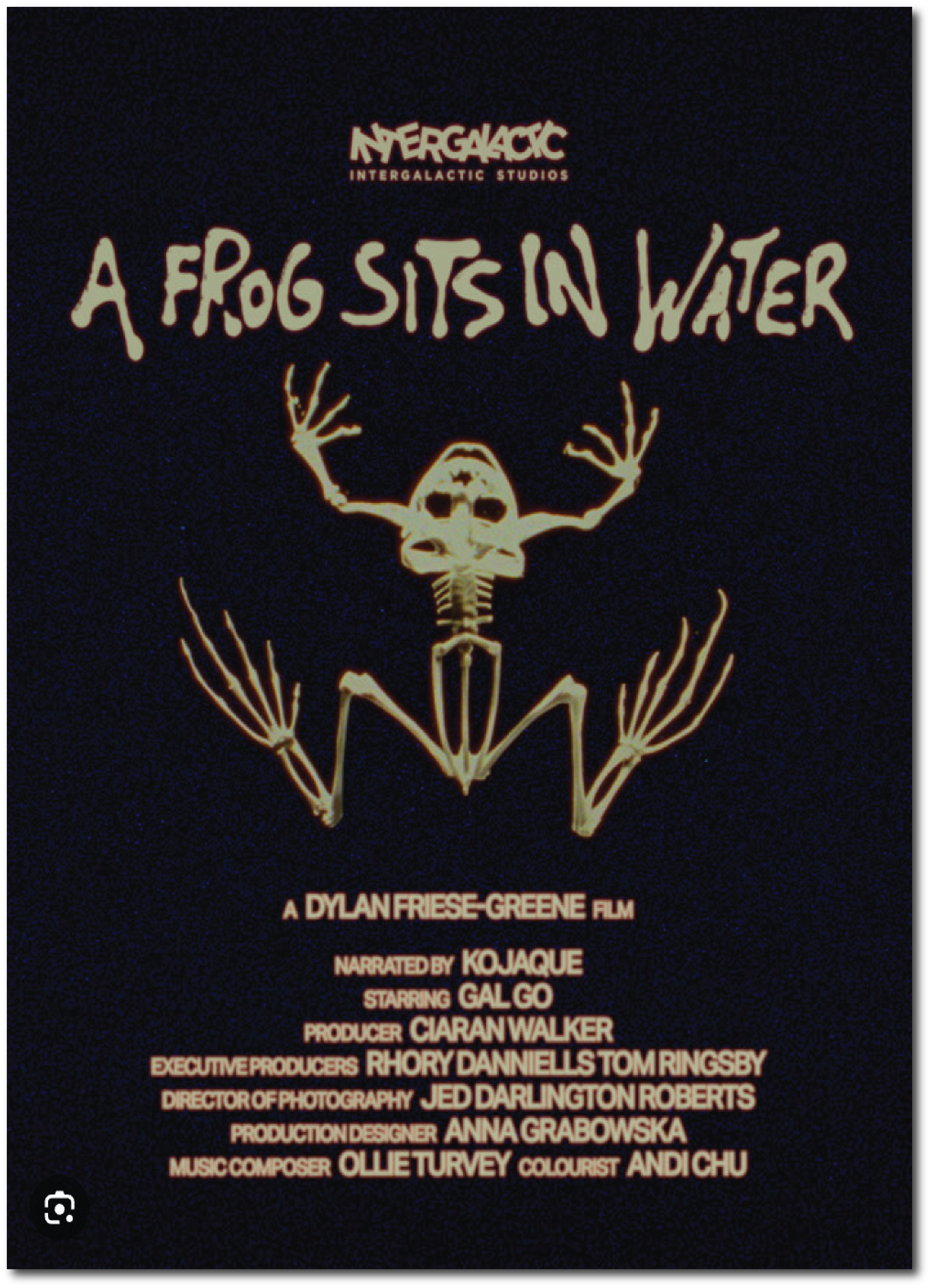 AFrogSitsInWater.png