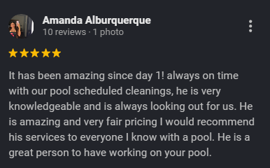 Review by Amanda Albuquerque praising a pool cleaning service for punctuality, knowledge, fairness, and professionalism.