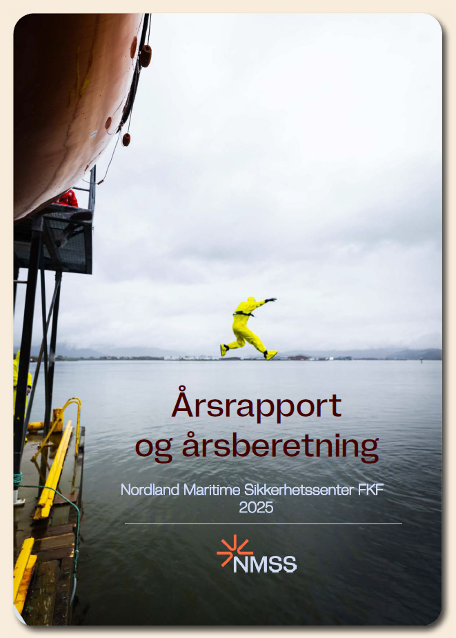 forsidebildet av årsmeldingen
