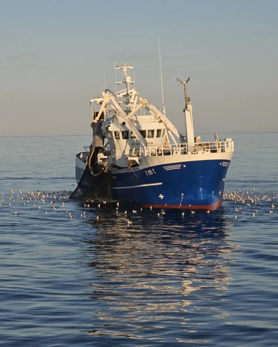 En blå fiskebåt på sjøen omgitt av måker.