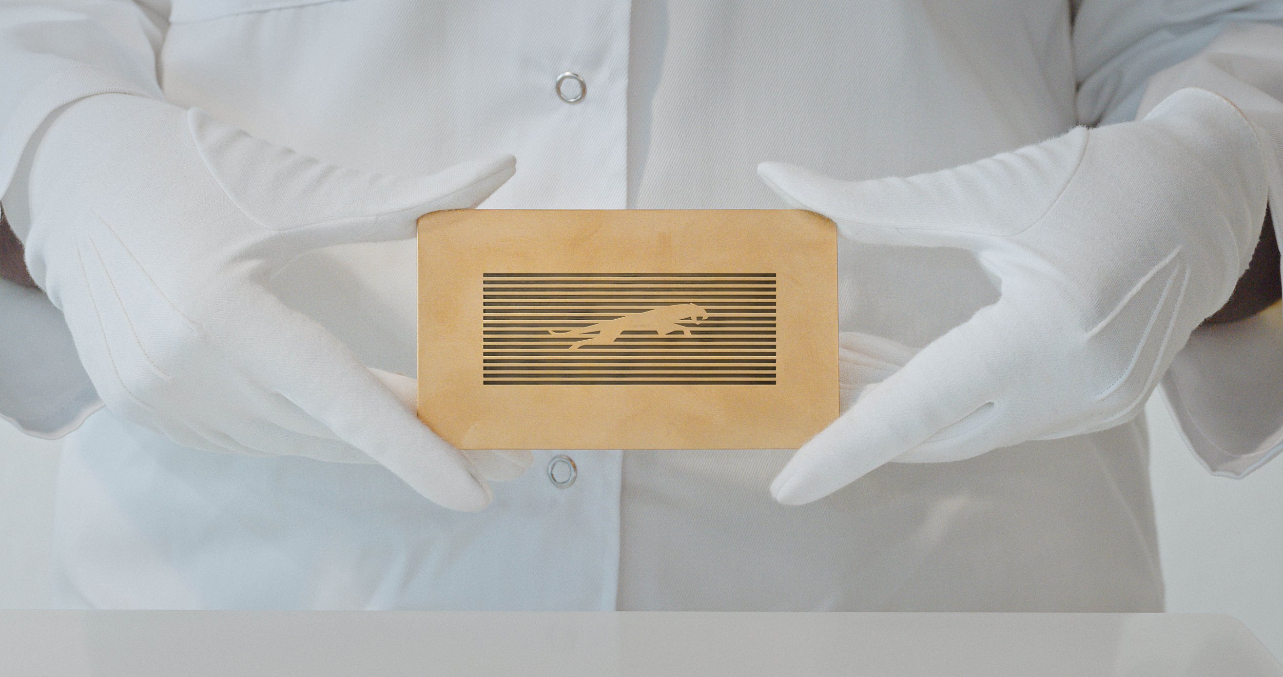 Release Image Jaguar Leaper