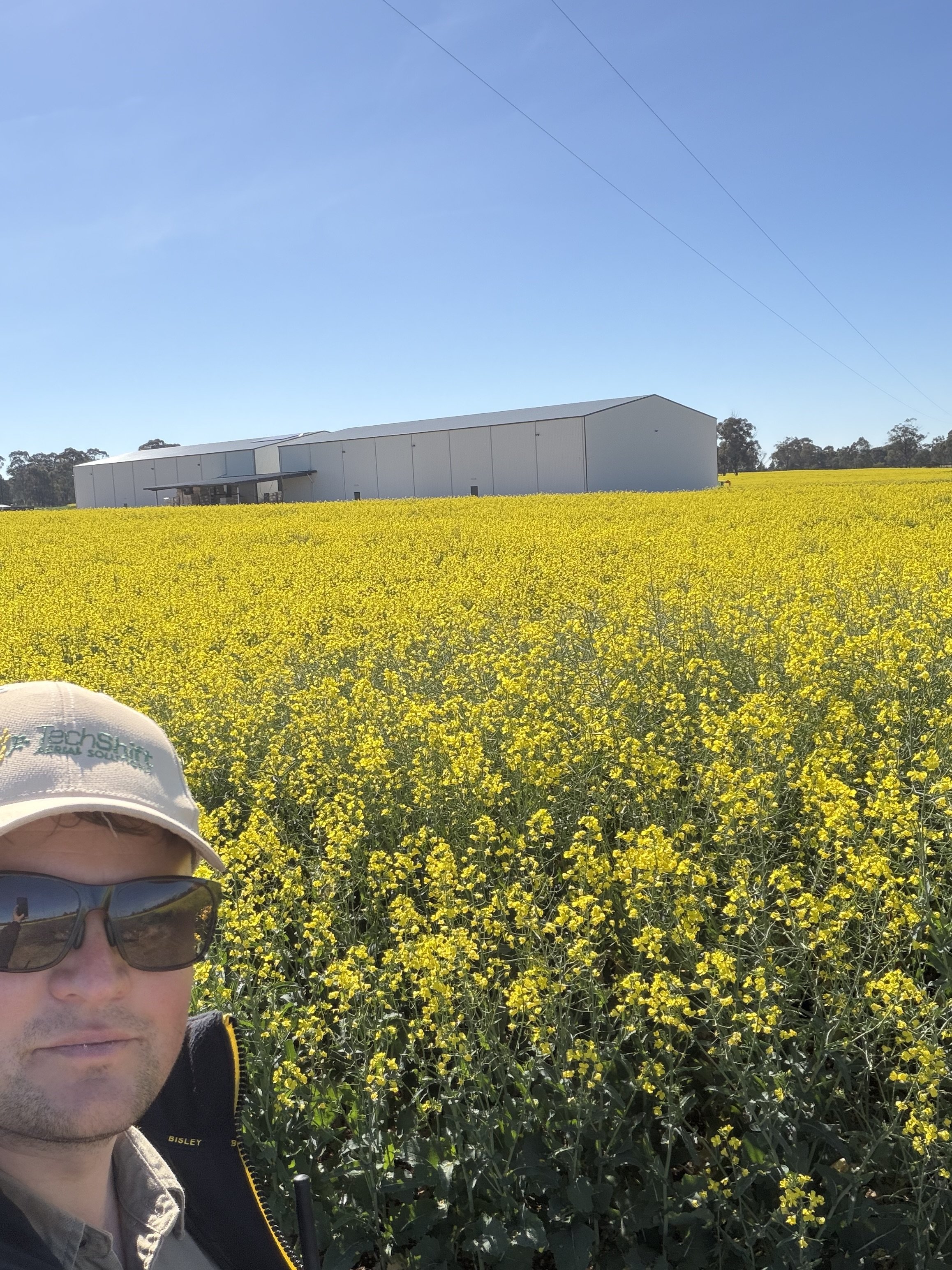 What a ground rig costs you at desiccation