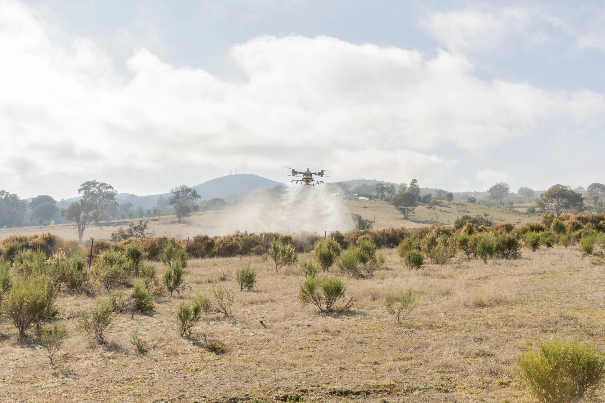 Image of aerial spraying across land with Sifton bush