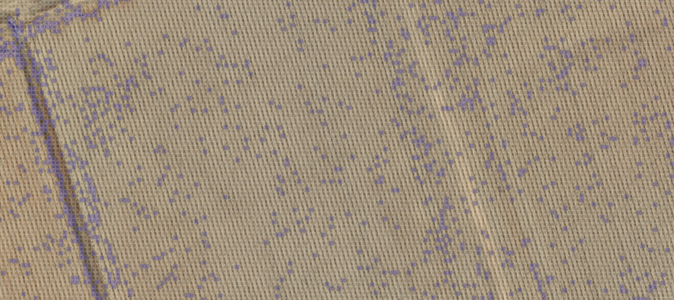 Prescription spray map generated in Pix4D Fields