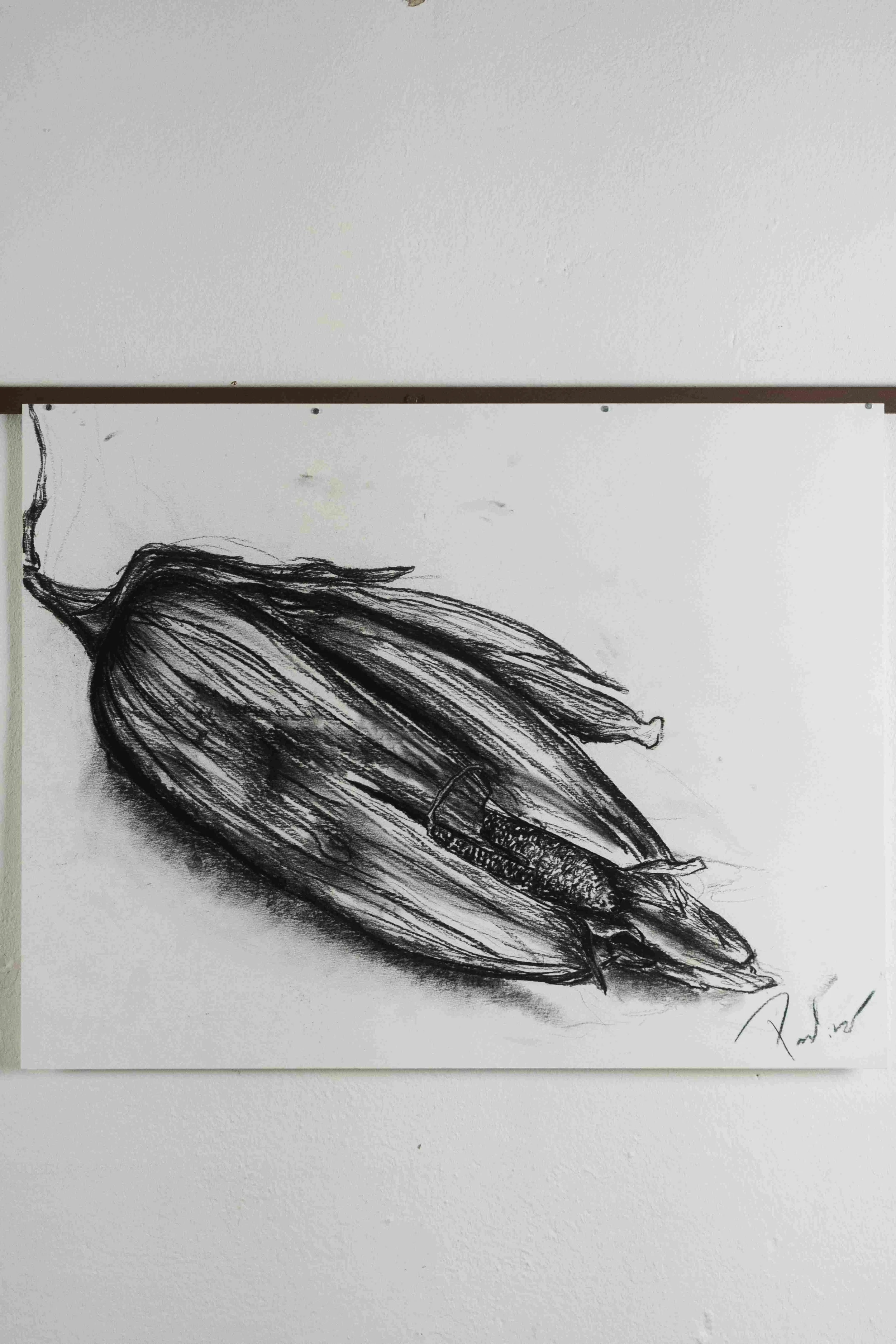 Organik 4,
Kohlezeichnung,
DinA2,
2023