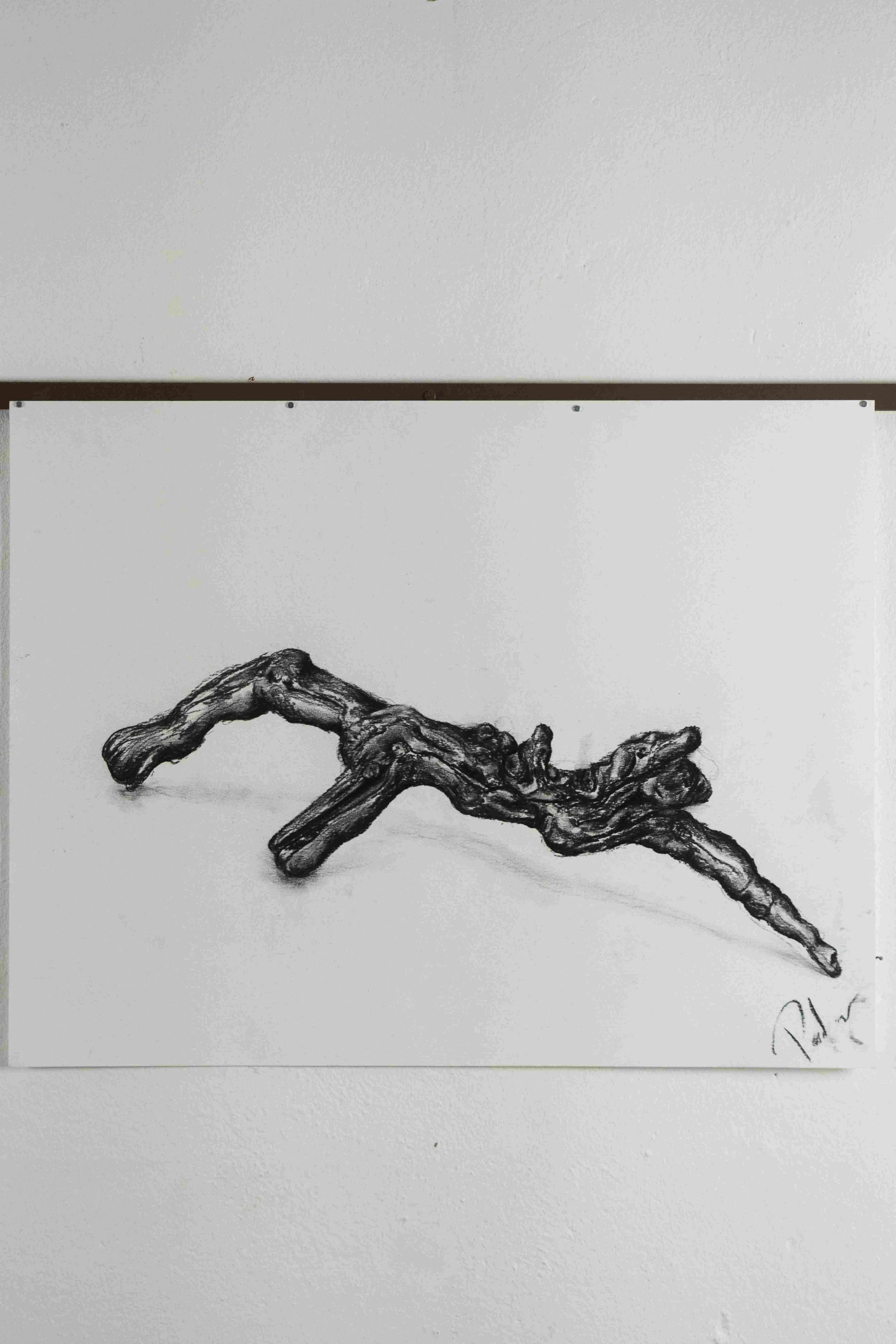 Organik 1,
Kohlezeichnung,
DinA2,
2023
