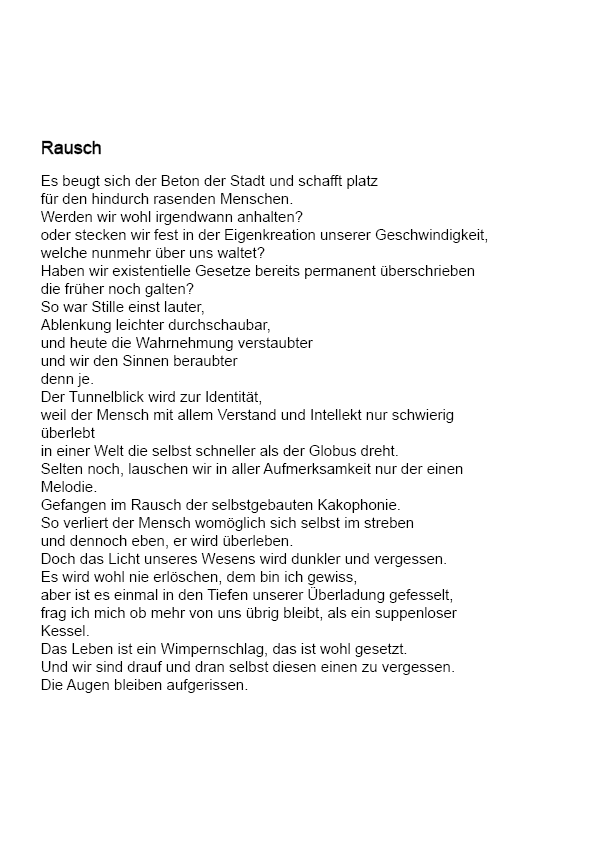 Text Rausch.png