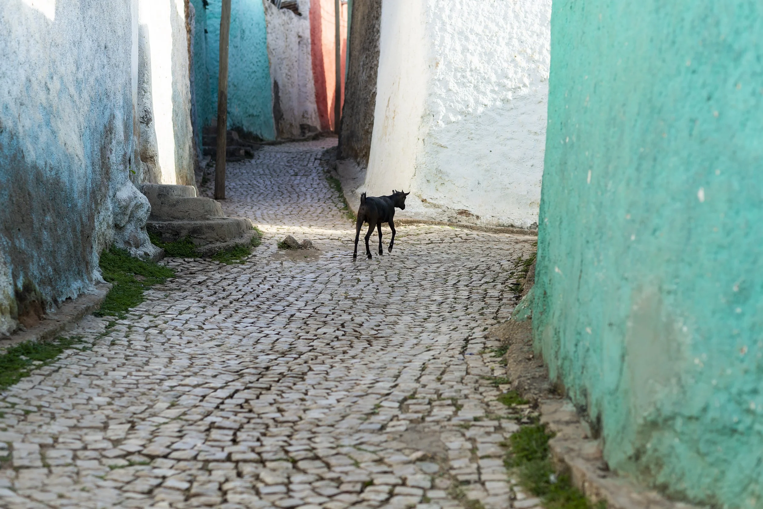 Alamy_Ethiopia_Harar_76Q5581_E.jpg