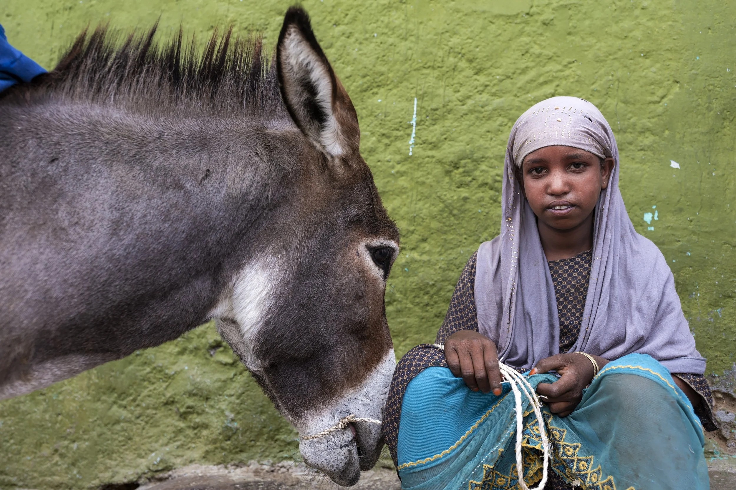 Alamy_Ethiopia_Harar_76Q0375_E.jpg