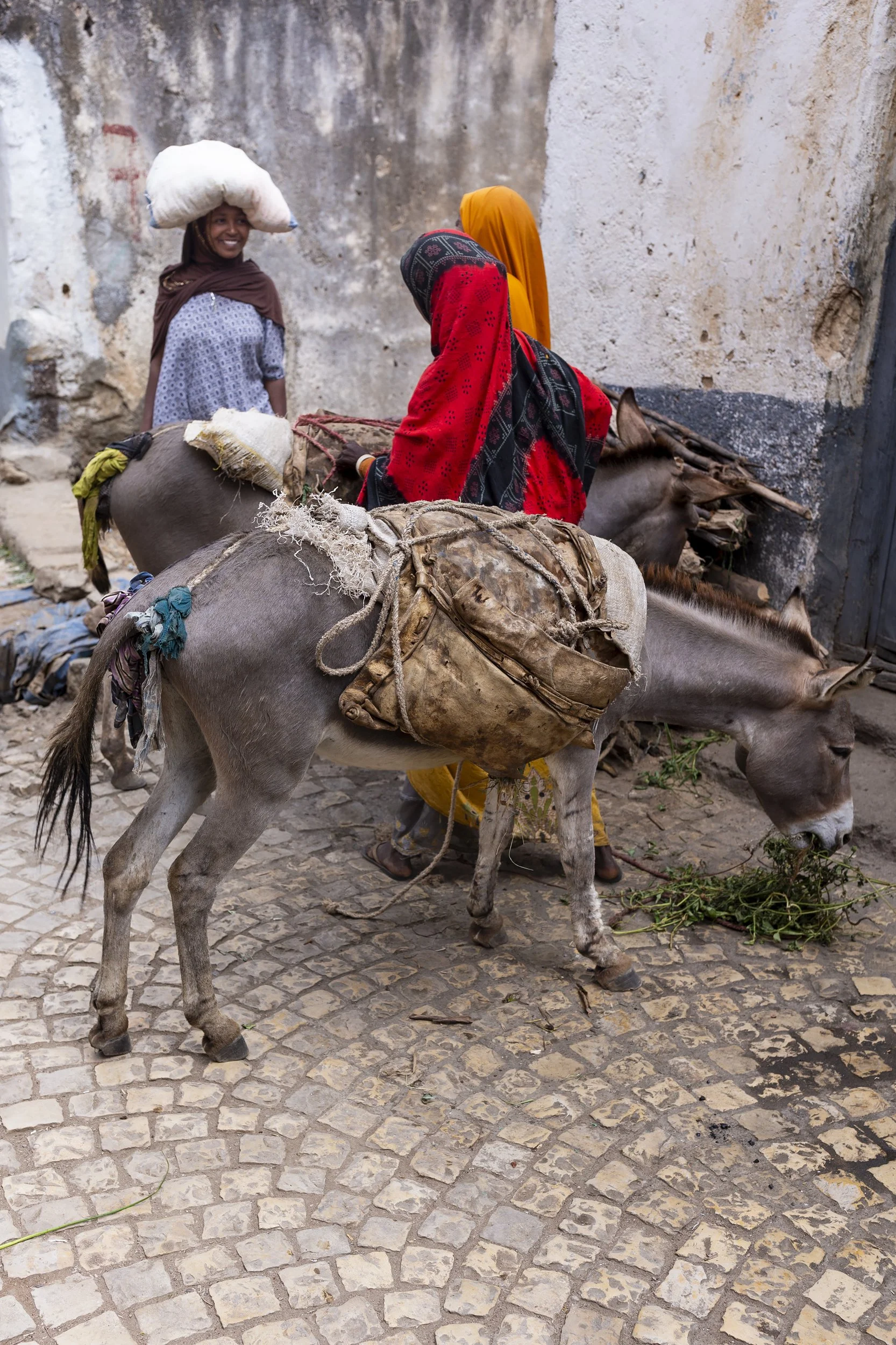 ETHIOPIA_HARAR_76Q0640_E.jpg