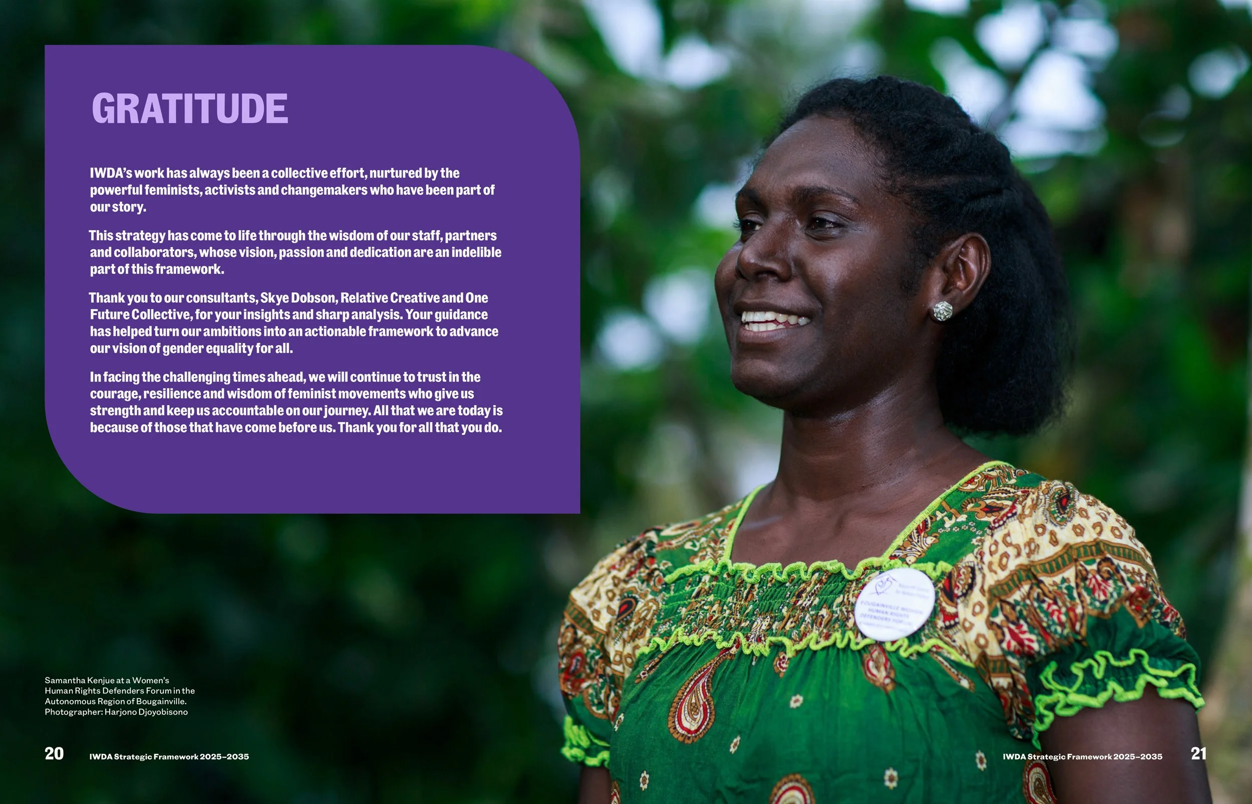 IWDA-Strategic-Plan-2025-2035-23.jpg