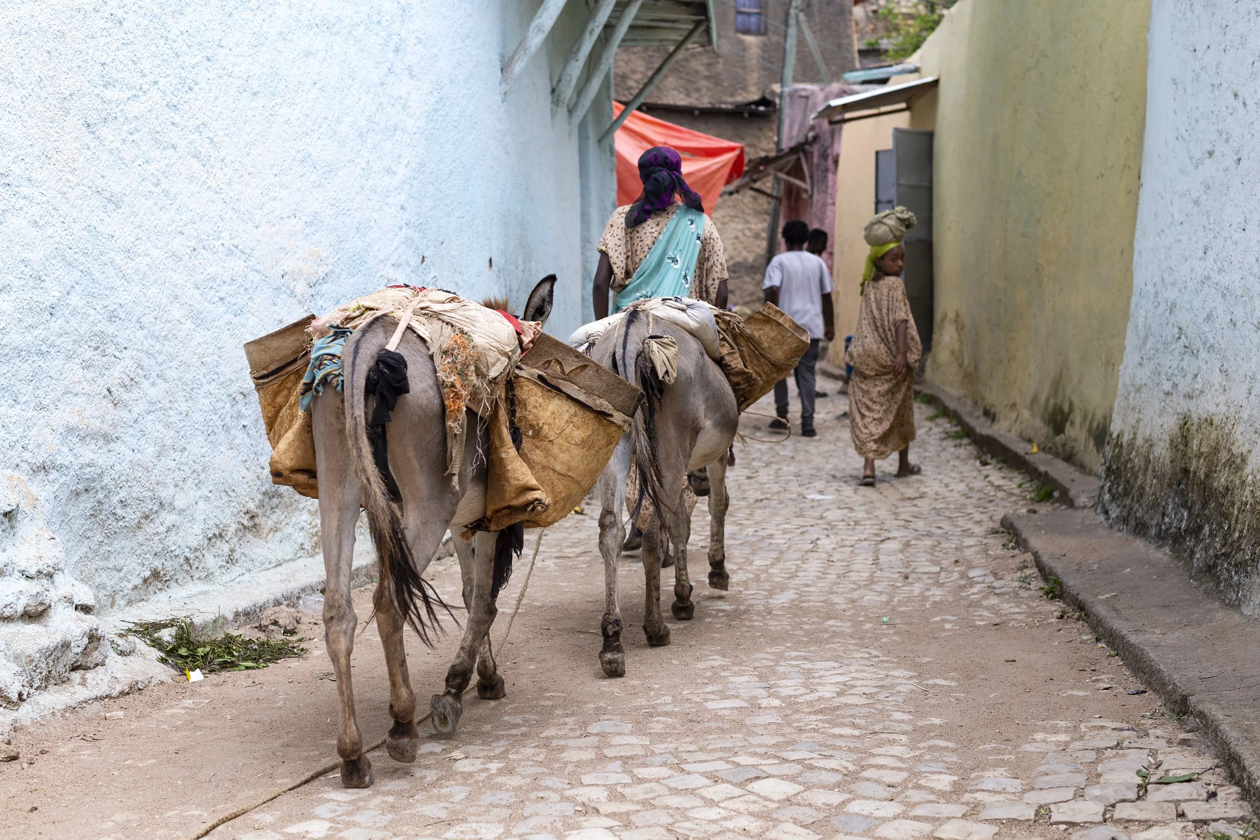 Alamy_Ethiopia_Harar_76Q0662_E.jpg