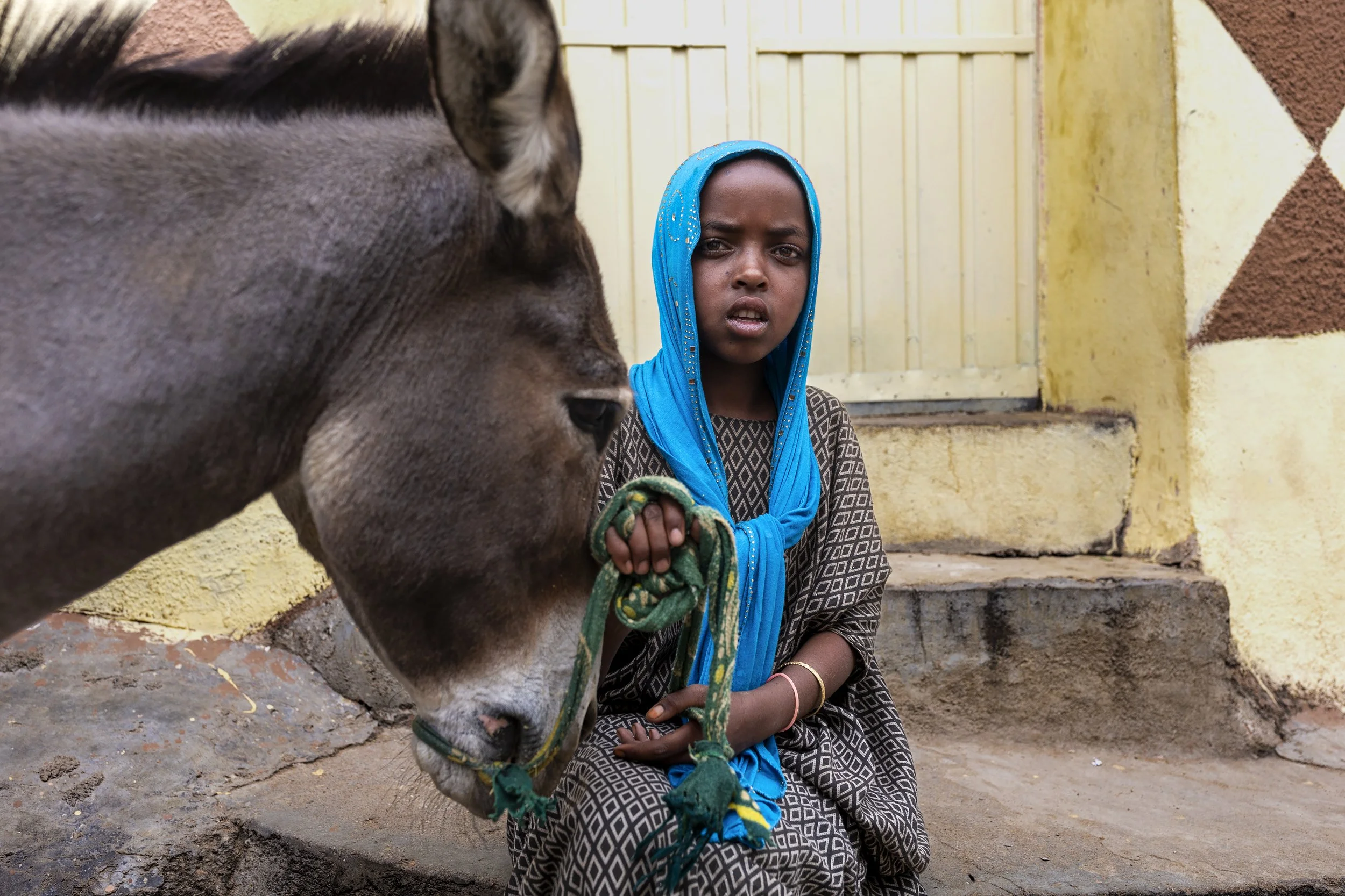 Alamy_Ethiopia_Harar_76Q0402_E.jpg