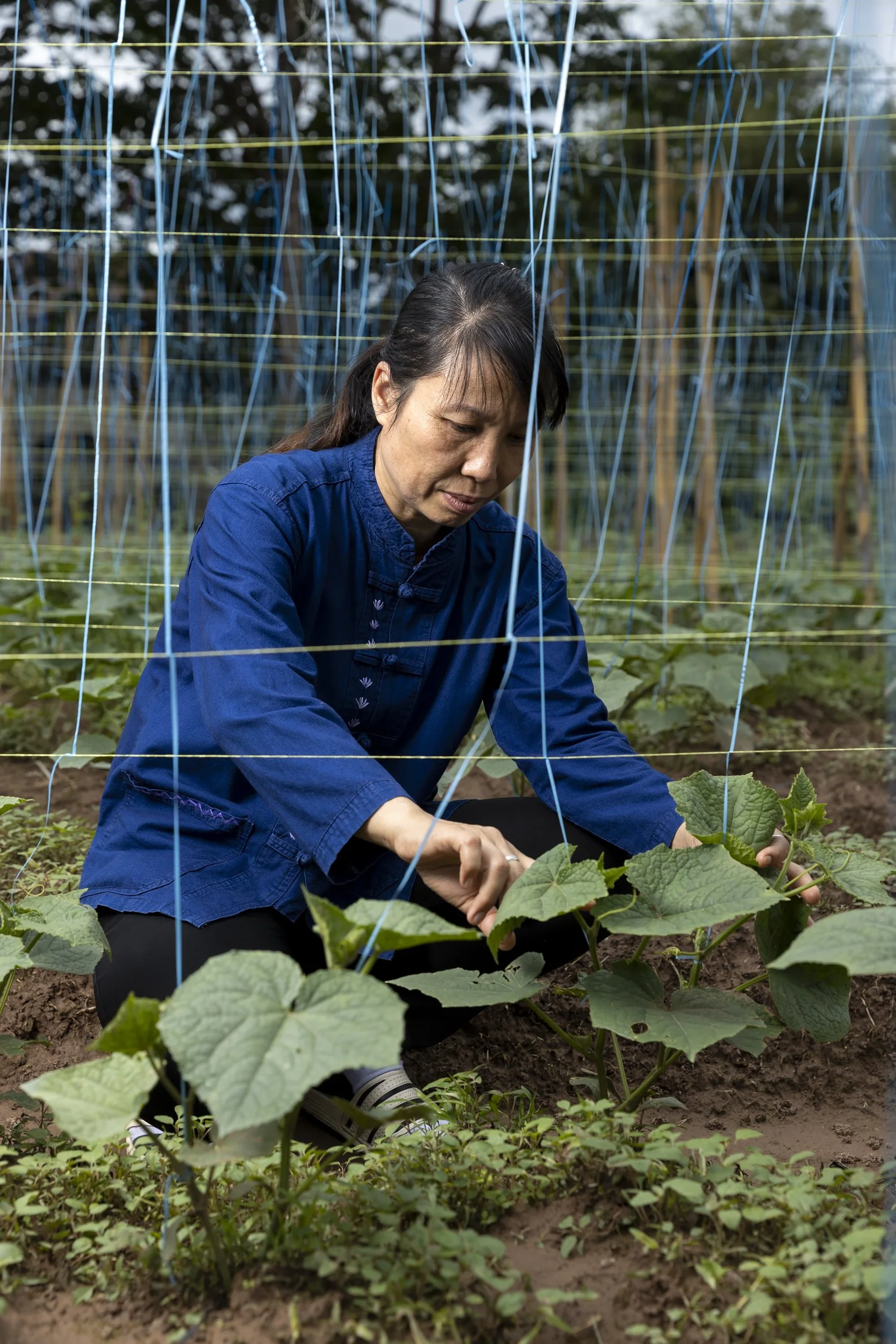Oxfam_Thailand_A23I5012_E.jpg