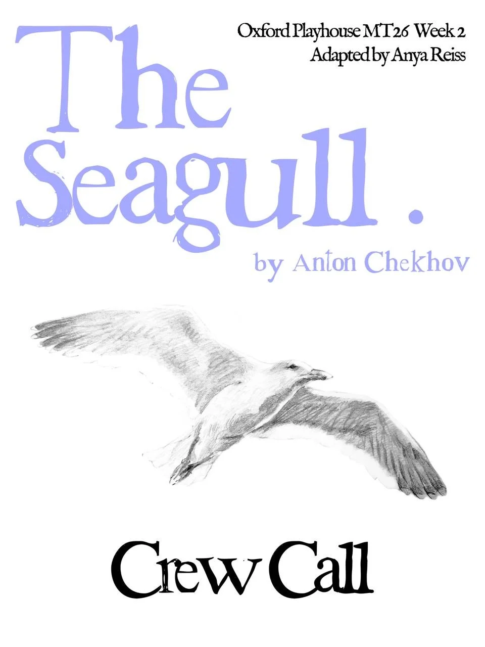 The Seagull