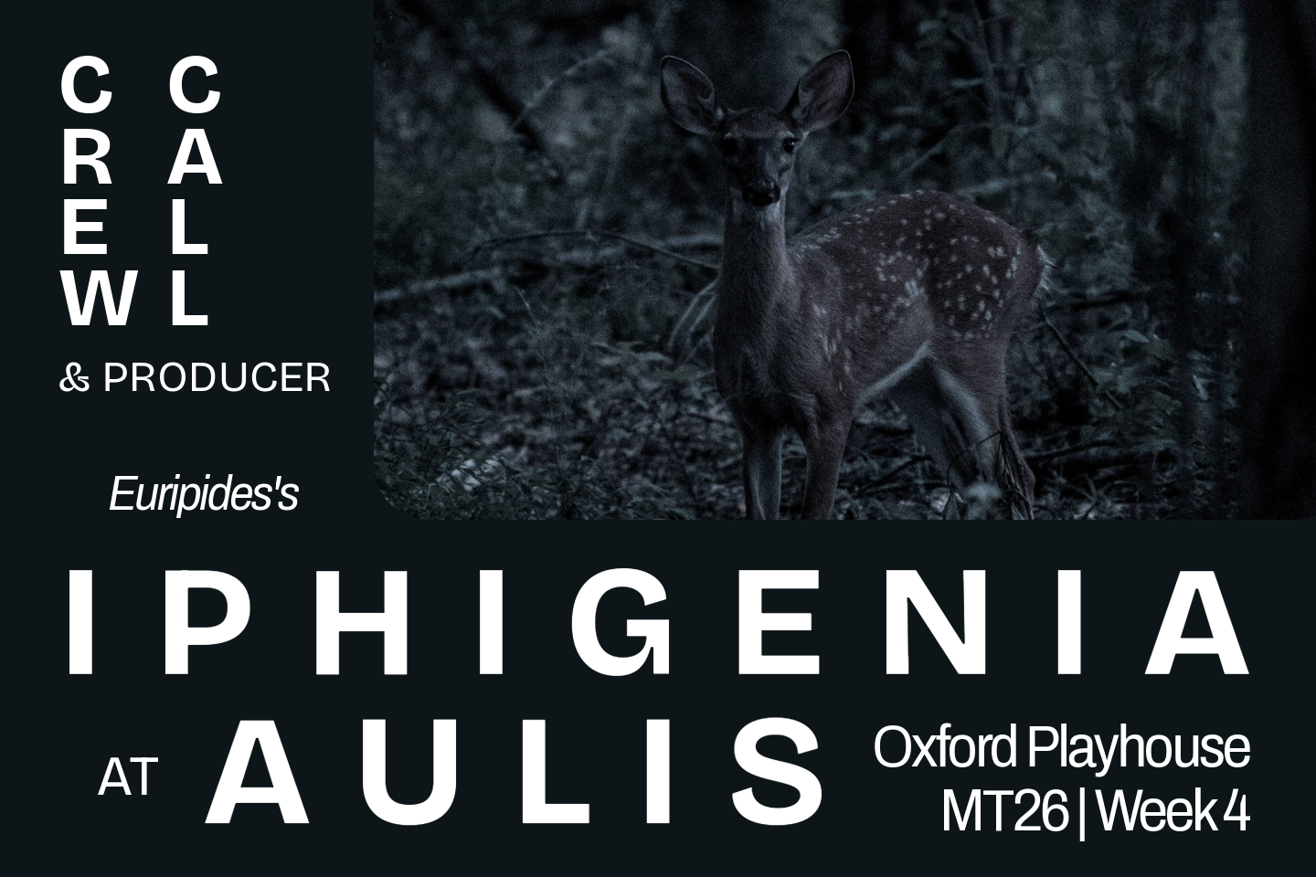 Euripides's 'Iphigenia at Aulis'