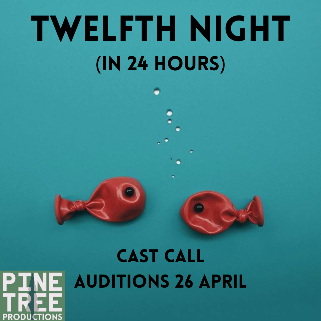Twelfth Night in 24 Hours