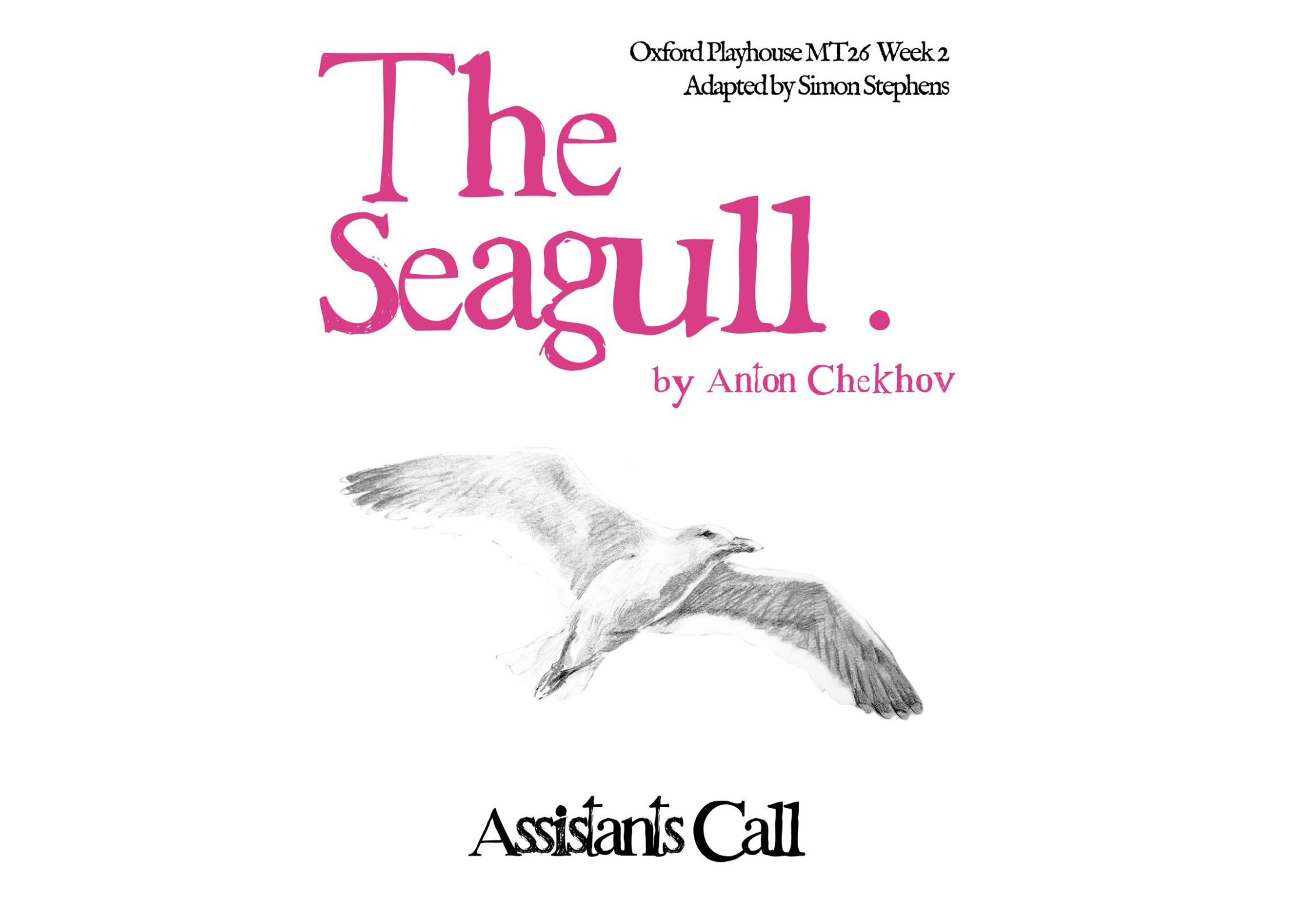 The Seagull