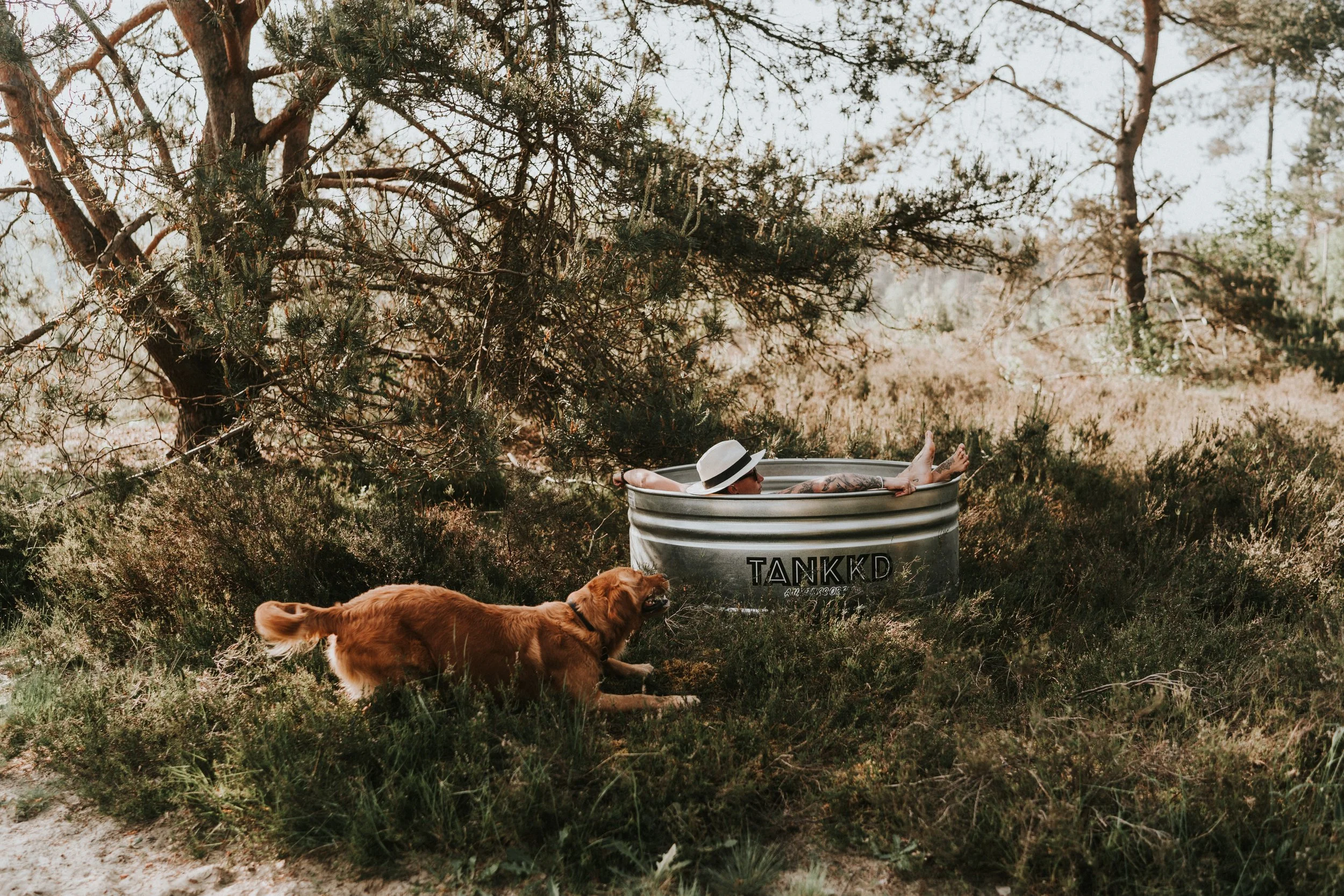 A person wearing a hat relaxing in a Stock tank pool  outdoors, with a dog pulling on a rope nearby, amidst a natural landscape with trees and shrubbery.