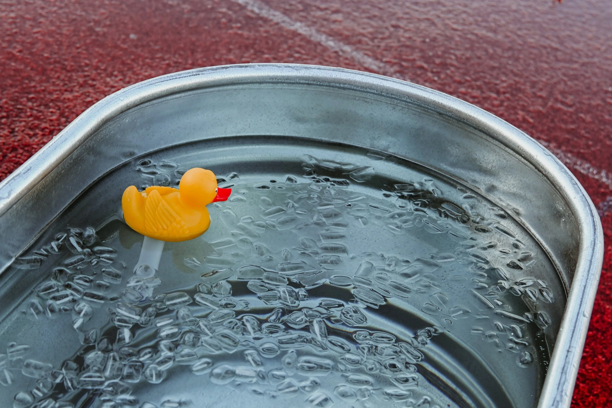 A yellow rubber duck floats in a metal bucket filled with icy water, on a red surface.
