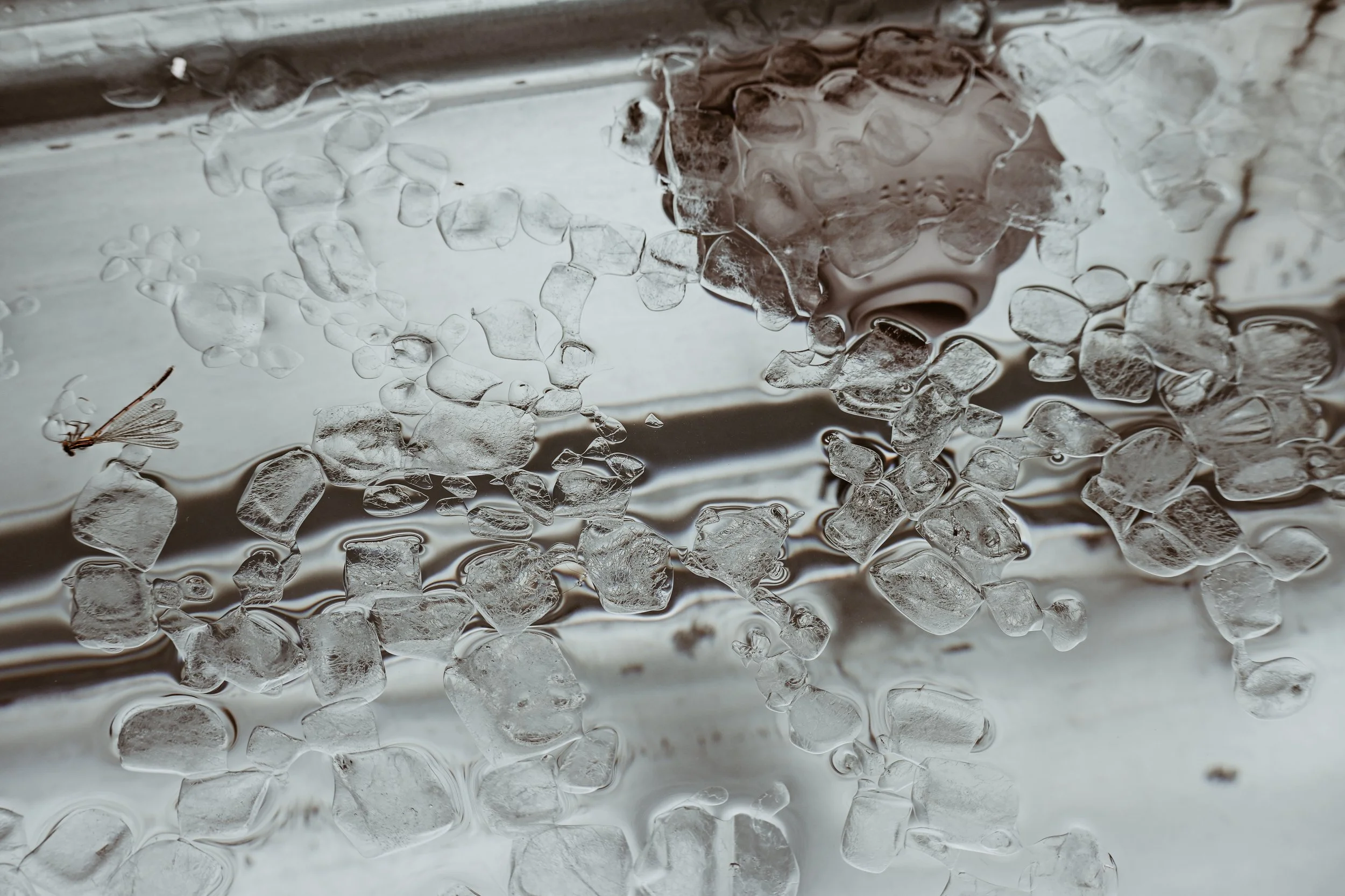 Ice cubes in a Stock tank pool  with a drain hole and water.
