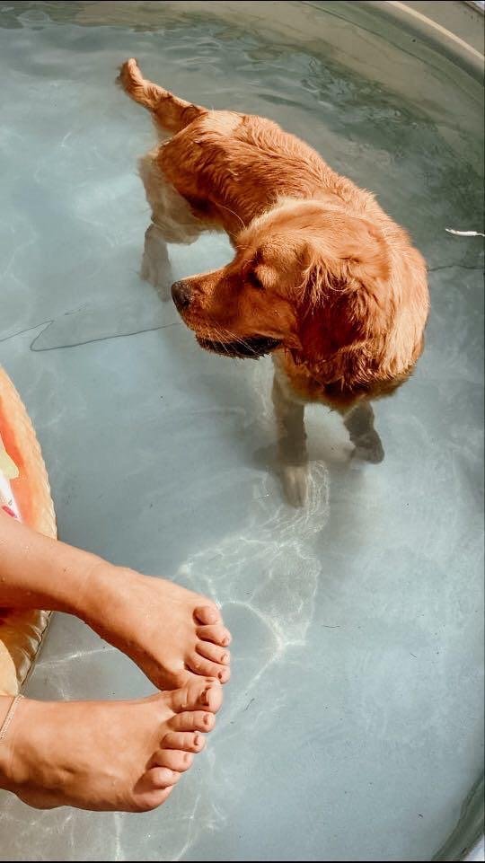 Golden retriever dog standing in a shallow pool, with a person's feet visible nearby.