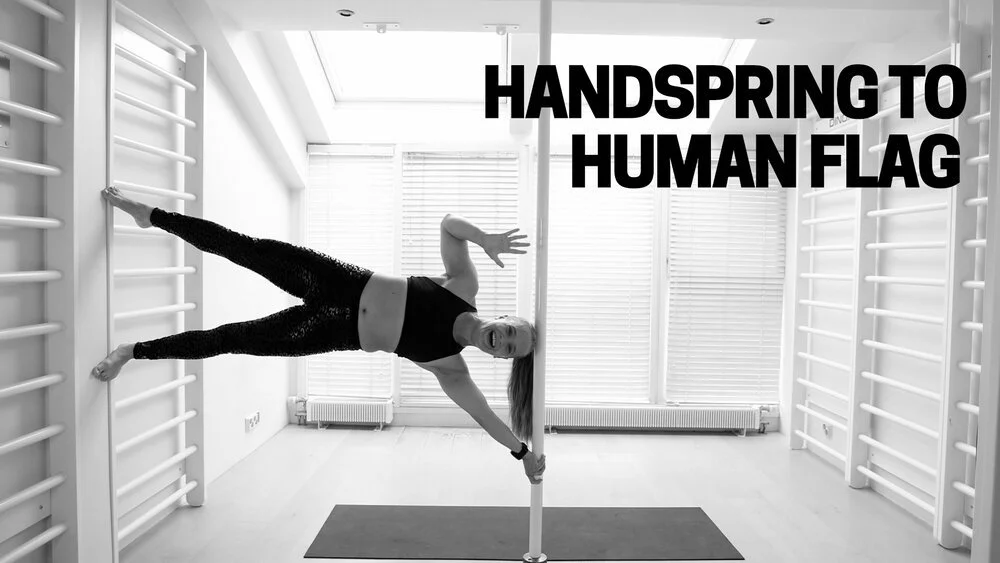 Handspring to humanflag learning course.
