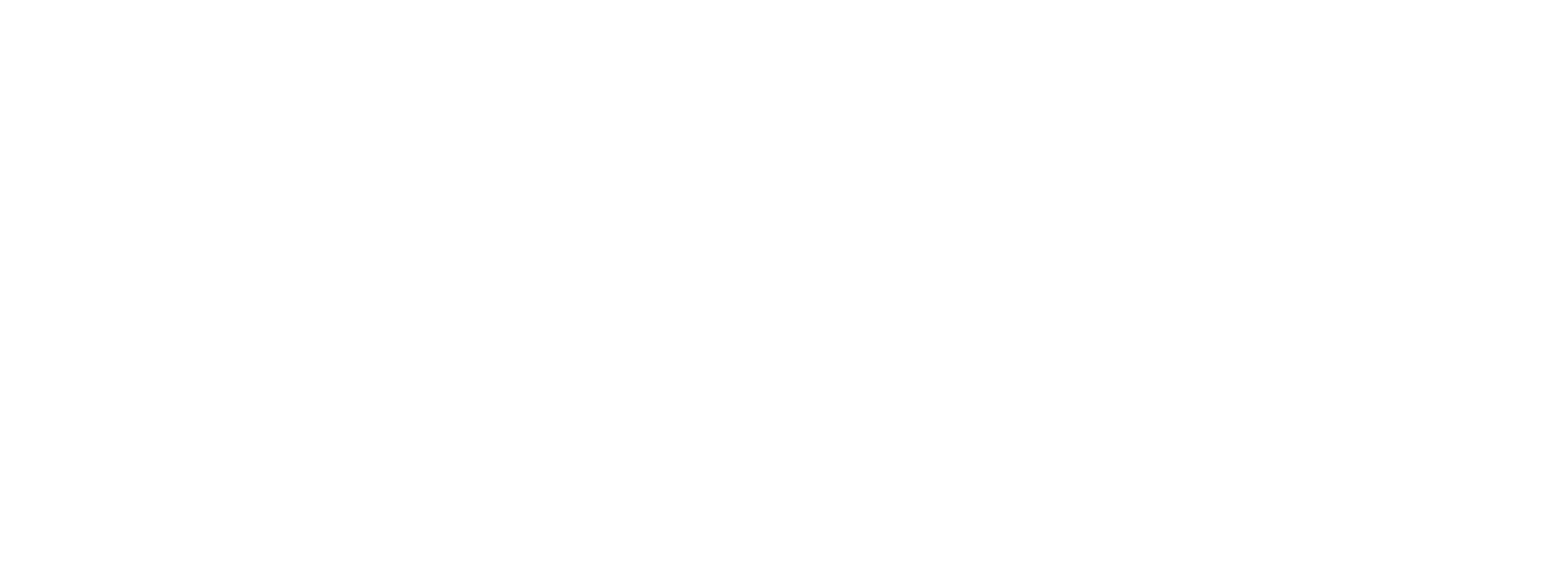 chaiir-massage-corporate-wellness-spa party