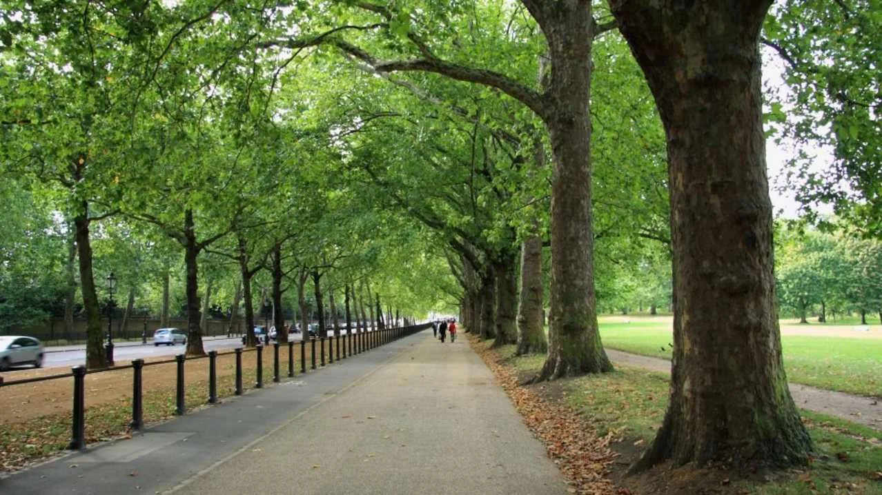 Green Park