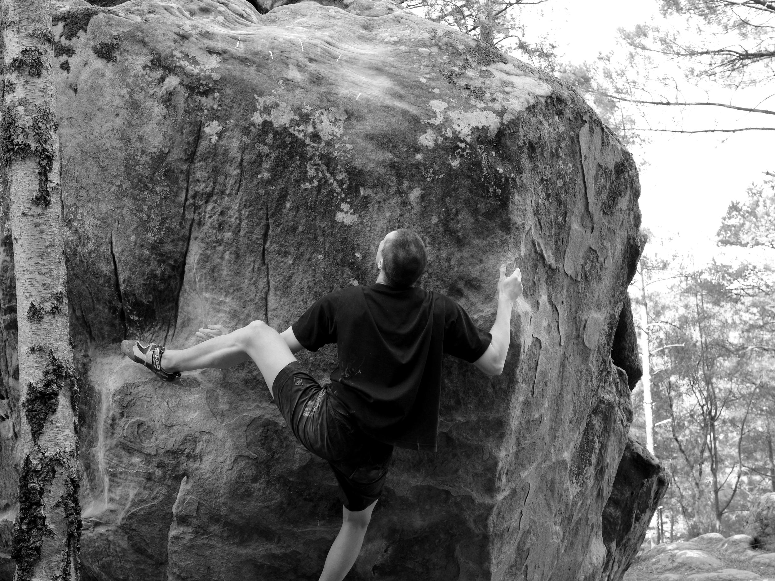 Person rock climbing on a large boulder in a forested area.