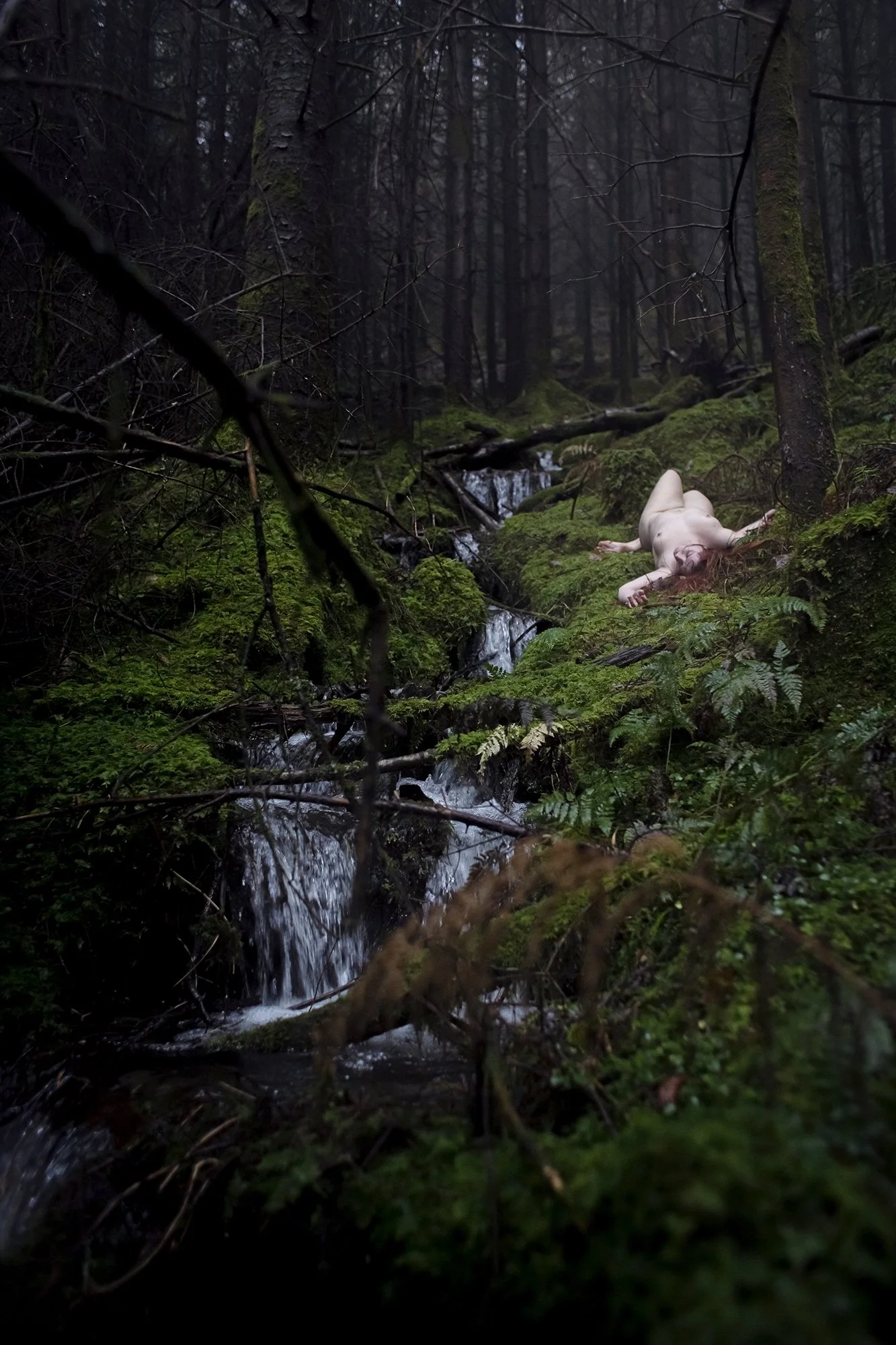 A dense forest with moss-covered ground and small waterfalls, featuring a nude woman lying on the mossy ground, surrounded by ferns and trees.