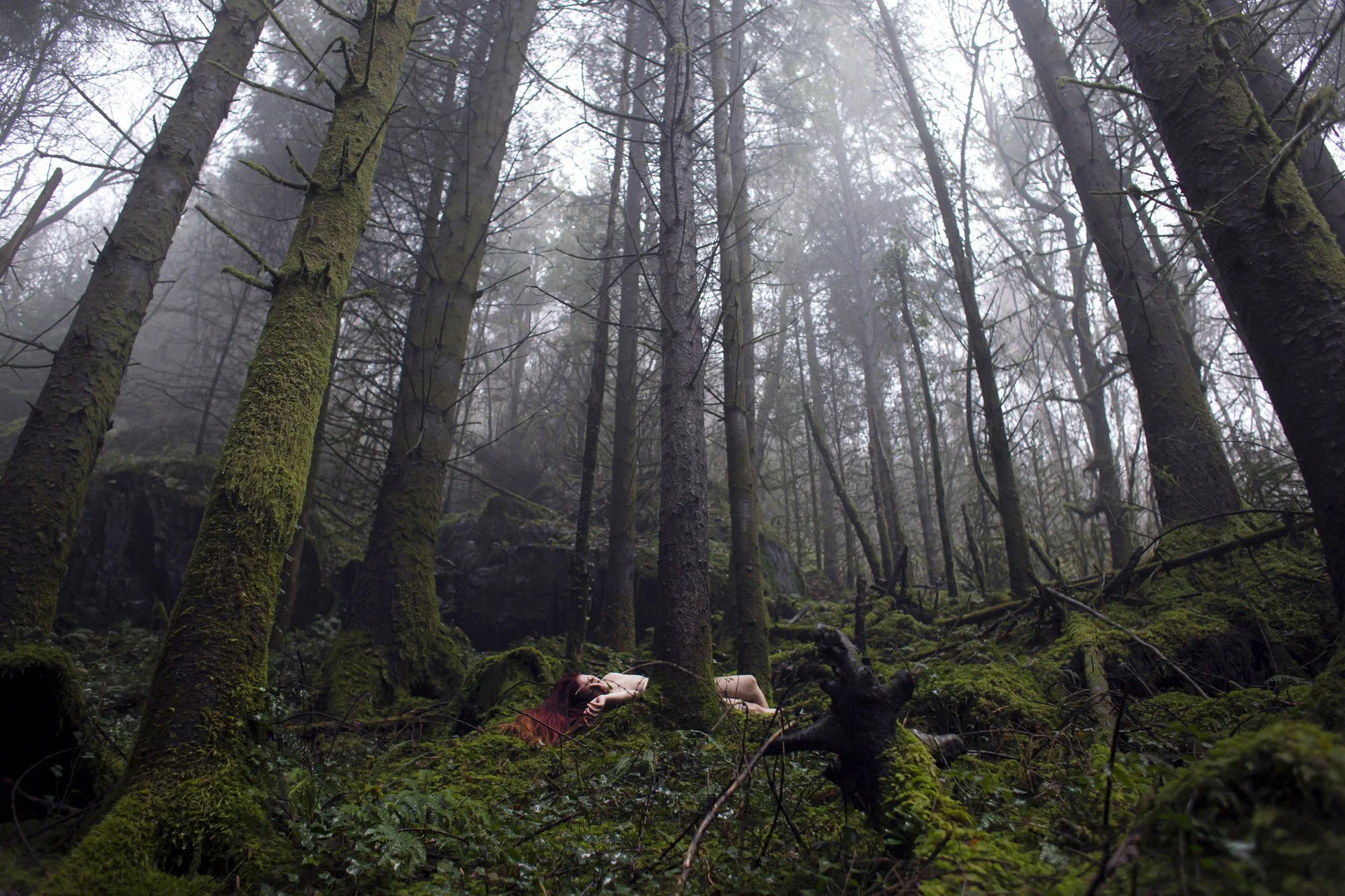 A person with reddish hair lying in a mossy forest, surrounded by tall trees and mist.
