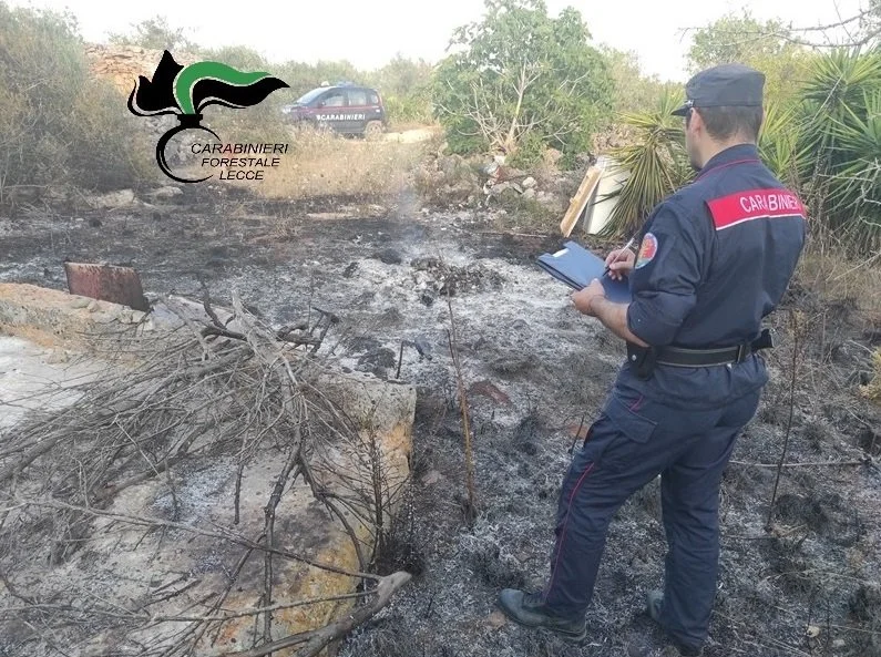 Incendi LE1.jpg