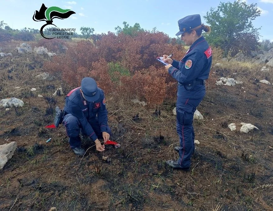 Incendi LE2.jpg