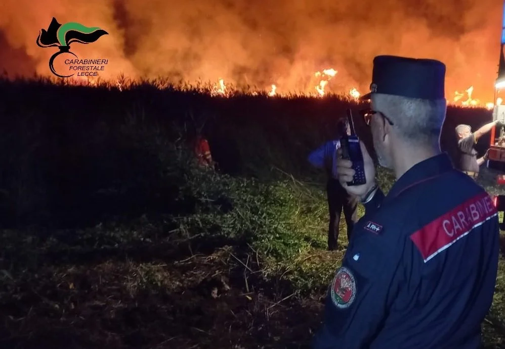 Incendi LE3.jpg