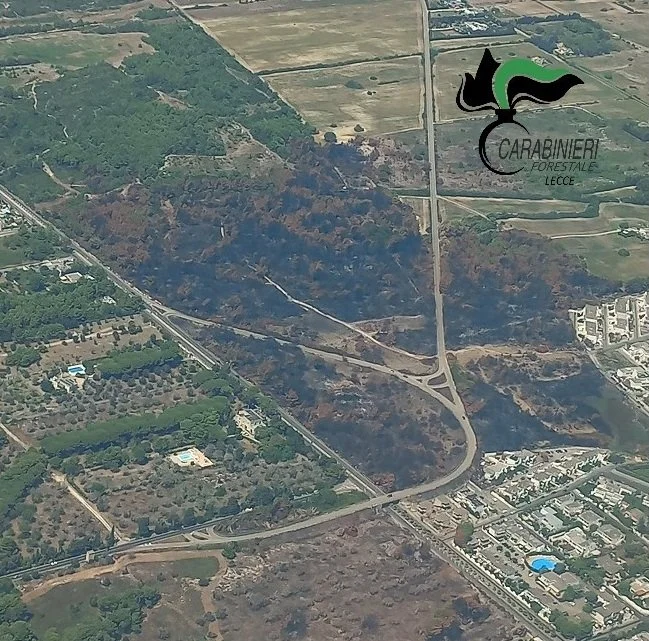 Incendi San Cataldo.jpg